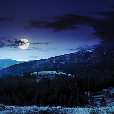 포토 JPG 해외이미지 나무 구름 유럽 별 지구 여행 백그라운드 자연 하늘 산 풍경 경사 사람없음 야외 목재 초록색 파란색 빛 계곡 검은색 어둠 하이킹 행성 달 소나무 정상 야간 숲 가득함 언덕 장면 공상 침엽수 전나무 가문비나무 해외202004 해외포토 자연요소 식물 나라 컬러 재료 레저 우주 생태계 파일형식 이미지허브