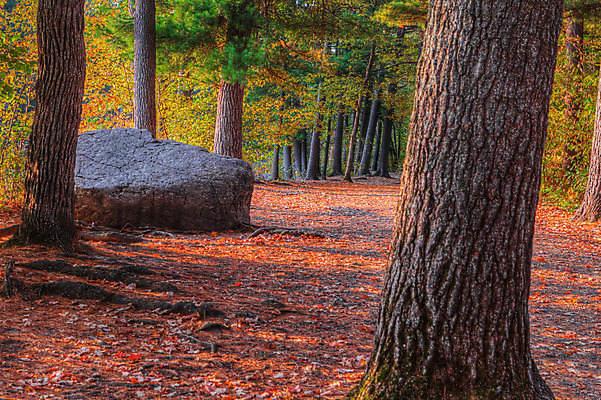 포토 JPG 해외이미지 나무 계절 공원 길 이동 자국 자연 풍경 사람없음 야외 물 강 컬러풀 달리기 평화 폭포 흐름 안개 가을 개울 급류 숲 암초 해외202004 해외포토 자연요소 식물 공공시설 컬러 컨셉 모션 날씨 생태계 파일형식 이미지허브