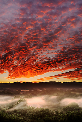 포토 JPG 해외이미지 나무 구름 아시아 자연 하늘 아침 산 풍경 사람없음 야외 빨간색 세로 컬러풀 일출 황혼 일몰 놀람 새벽 활발 안개 시골 화려 숲 대만 언덕 즐거움 장면 천국 내추럴 강렬 웅장함 해외202004 해외포토 주간 자연요소 식물 감정 나라 컬러 컨셉 날씨 표정 노을 생태계 파일형식 이미지허브