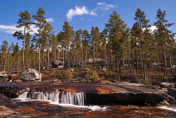 포토 JPG 해외이미지 나무 자연 하늘 산 노르웨이 풍경 사람없음 물 강 폭포 흐름 개울 급류 암초 해외202004 해외포토 자연요소 식물 유럽 컨셉 생태계 파일형식 이미지허브