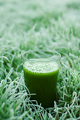 포토 JPG 해외이미지 라이프스타일 음료 음식 백그라운드 잎 다이어트 채소 과일 재료 유리 오이 건강 사람없음 목재 초록색 냉동 식사 주스 봄 에너지 추위 신선 칵테일 사과 먹기 민트 상쾌 유기농 서리 날것 시금치 내추럴 스무디 채식주의자 케일 디톡스 비건 해외202004 해외포토 나무 식물 웰빙 계절 감정 컬러 모션 재질 주류 생활 허브 채식 파일형식 이미지허브