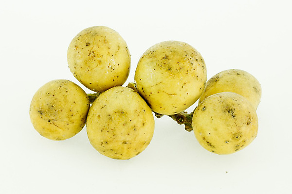 포토 JPG 해외이미지 아시아 음식 농업 다이어트 과일 공 태국 디저트 건강 동양인 사람없음 신선 달콤 맛 다발 먹기 유기농 날것 인도네시아 건강식 숙성 이국적 채식주의자 해외202004 해외포토 웰빙 나라 산업 컨셉 모션 인종 채식 파일형식 이미지허브