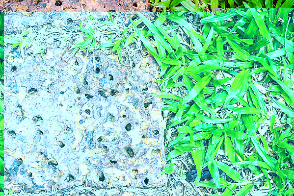 포토 JPG 해외이미지 공원 도로 밭 거리 주택 사람없음 초록색 달리기 정원 바위 오솔길 방법 해외202004 해외포토 공공시설 길 컬러 농업 교통시설 모션 건물 돌_바위 파일형식 이미지허브