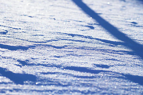 포토 JPG 해외이미지 계절 겨울 자연 하늘 휴가 그림자 사람없음 파란색 빛 햇빛 일본 얼음 추위 눈송이 해외202004 해외포토 자연요소 아시아 컬러 눈_날씨 태양 생태계 파일형식 이미지허브