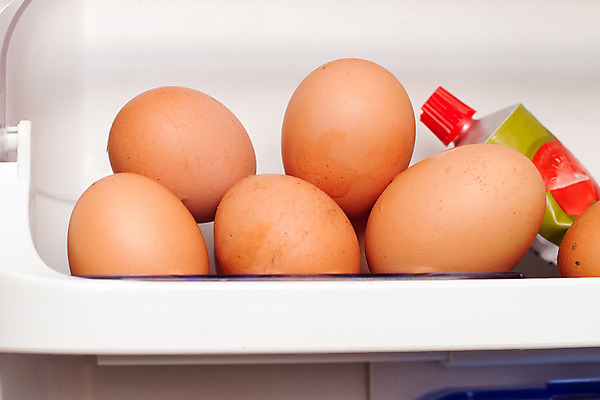 포토 JPG 해외이미지 재료 선반 사람없음 치킨 신선 지저분함 냉장고 위생관리 해외202004 해외포토 가구 관리 가전제품 감각 닭고기요리 파일형식 이미지허브