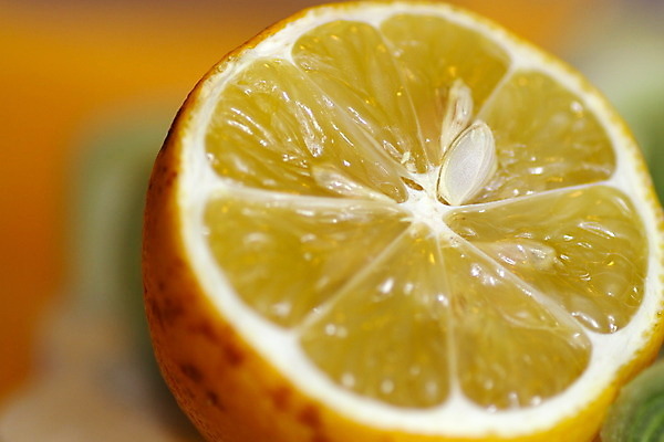 포토 JPG 해외이미지 음식 조각 백그라운드 다이어트 과일 재료 부분 자연 탁자 귤 건강 사람없음 목재 컬러풀 노란색 주스 추위 껍질 흰색 신선 닫기 맛 자르기 레몬 상쾌 유기농 내추럴 숙성 채식주의자 해외202004 해외포토 나무 웰빙 감정 음료 컬러 가구 컨셉 모션 생태계 채식 파일형식 이미지허브