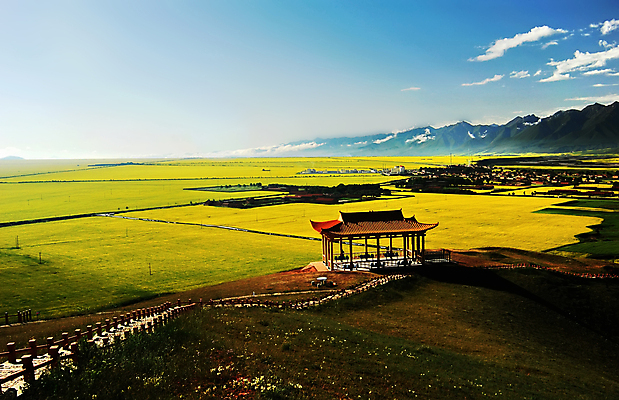 포토 JPG 해외이미지 밭 농업 자연 산 풍경 사람없음 여름 농작물 노란색 계곡 해외202004 해외포토 계절 산업 컬러 생태계 파일형식 이미지허브