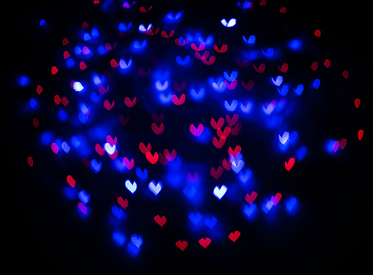 포토 JPG 해외이미지 나무 디자인 배너 커플 계절 분홍색 결혼 백그라운드 크리스마스 겨울 패턴 추상 휴가 불꽃 프레임 발렌타인데이 사랑 미술 사람없음 장식 빨간색 초록색 물 여름 파란색 빛 컬러풀 파티 보라색 검은색 봄 하트 야간 소프트포커스 질감 보케 광 블러 효과 해외202004 해외포토 자연요소 모양 식물 기념일 감정 컬러 무늬 관계 데이이벤트 불 문화예술 촬영기법 이벤트 파일형식 이미지허브