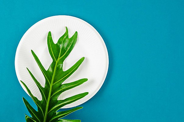 포토 JPG 해외이미지 식물 그릇 식기 접시 종이 음식 백그라운드 컨셉 잎 포장 주방용품 사람없음 파란색 소풍 환경 주방 재활용 흰색 떨어짐 쓰레기 폐기물 일회용 컨테이너 에코 친환경 생태계 팩 패키지 섬유 낭비 내추럴 판지 떠남 바이오 해외202004 해외포토 산업 컬러 생활용품 모션 야외활동 화장품 직물 파일형식 이미지허브