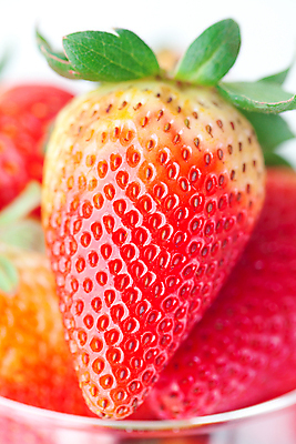 포토 JPG 해외이미지 식물 열매 음식 잎 과일 재료 자연 딸기 디저트 건강 씨앗 사람없음 빨간색 초록색 농작물 약 흰색 신선 달콤 민트 허브 향신료 유기농 고립 숙성 해외202004 스피아민트 해외포토 웰빙 컬러 농업 의학 맛 생태계 향미료 파일형식 이미지허브