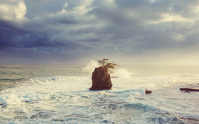 포토 JPG 해외이미지 나무 구름 공원 모래 파도 바다 여행 자연 하늘 휴가 파노라마 손바닥 풍경 사람없음 야외 물 여름 파란색 일출 맑음 미국 침묵 일몰 만 남아메리카 중앙아메리카 태평양 전국 코스타리카 파라다이스 해외202004 해외포토 자연요소 식물 손 계절 공공시설 컬러 북아메리카 날씨 촬영기법 아메리카 노을 소리 생태계 파일형식 이미지허브