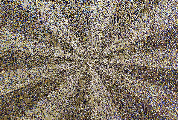 포토 JPG 해외이미지 동물 디자인 옷 산업 벽 가구 백그라운드 패턴 가방 자연 벽지 표면 추상 사람없음 내부 장식 소파 갈색 코트 직물 거친 화려 황금 클래식 고급 선탠 낟알 가죽 피부 질감 정사각형 심플 내추럴 옛날 스타일 해외202004 해외포토 도형 잡화 컬러 생활용품 컨셉 무늬 의자 신체부위 외투 생태계 파일형식 이미지허브