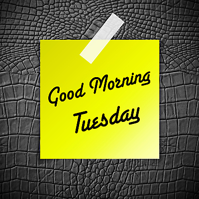 포토 JPG 해외이미지 직업 디자인 비즈니스 텍스트 자연 표면 사람없음 일상 장식 컴퓨터 검은색 어둠 회색 수확 덮개 직물 작업 고급 선탠 저녁 가죽 묘사 질감 악어 내추럴 옛날 진짜 화요일 해외202004 해외포토 컬러 컨셉 농업 파충류 라이프 전자제품 뚜껑 야간 생태계 요일 파일형식 이미지허브