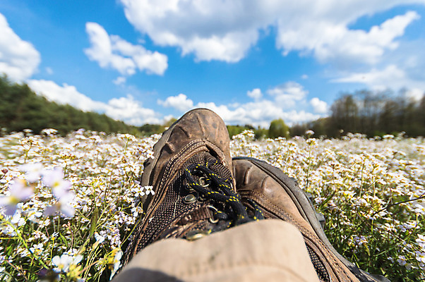 포토 JPG 해외이미지 나무 식물 구름 계절 꽃 백그라운드 잎 밭 농업 자연 하늘 아침 날씨 풍경 잔디 사람없음 야외 초록색 여름 파란색 빛 컬러풀 햇빛 태양 농장 노란색 일출 환경 맑음 일몰 봄 자유 성장 흰색 시골 신선 땅 장면 내추럴 수평선 해외202004 해외포토 주간 자연요소 산업 컬러 컨셉 노을 생태계 파일형식 이미지허브