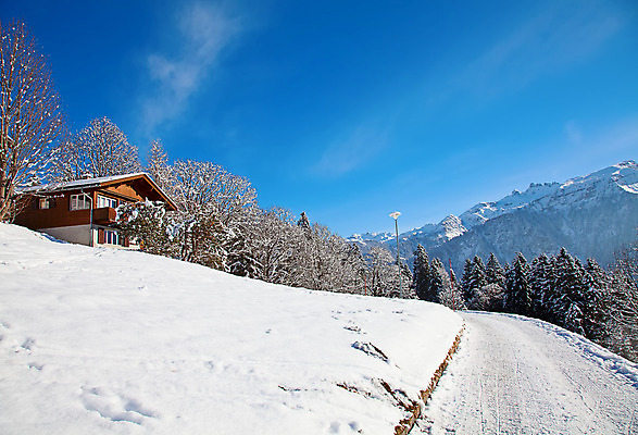 포토 JPG 해외이미지 나무 구름 라이프스타일 유럽 지구 여행 겨울 자연 하늘 스키 산 그림자 풍경 사람없음 야외 파란색 태양 평화 맑음 얼음 추위 흰색 황무지 고급 숲 크리스탈 가루 스위스 서리 알프스 썰매 썰매타기 절정 파라다이스 눈내림 해외202004 해외포토 자연요소 식물 계절 나라 컬러 컨셉 날씨 겨울스포츠 눈_날씨 생활 전통놀이 광석 생태계 파일형식 이미지허브