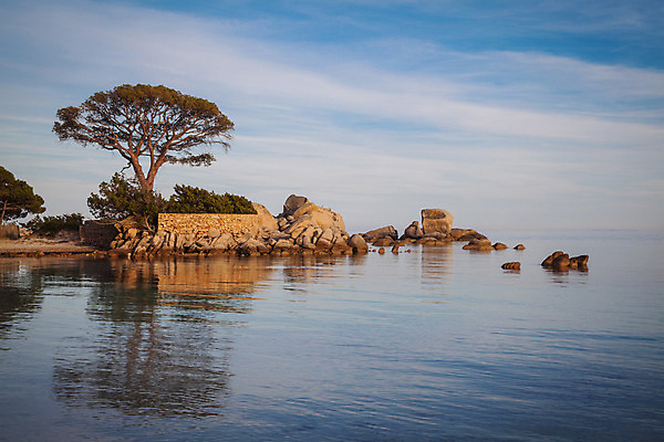 포토 JPG 해외이미지 나무 모래 파도 바다 섬 여행 자연 하늘 휴가 휴식 파노라마 풍경 사람없음 물 여름 파란색 맑음 프랑스 만 지중해 남쪽 내추럴 코르시카 터키석 해외202004 해외포토 자연요소 식물 계절 유럽 컬러 컨셉 날씨 촬영기법 보석 방향 생태계 파일형식 이미지허브