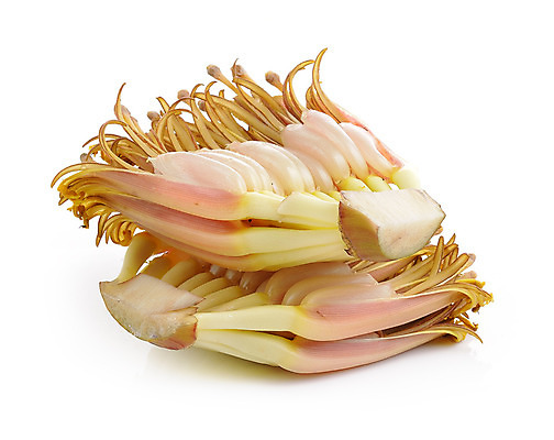 포토 JPG 해외이미지 나무 식물 꽃잎 꽃 음식 분홍색 백그라운드 잎 꽃무늬 농업 채소 과일 자연 바나나 건강 사람없음 초록색 정원 샐러드 성장 벚꽃 흰색 신선 다발 묘사 유기농 날것 고립 해외202004 해외포토 웰빙 산업 컬러 무늬 생태계 파일형식 이미지허브