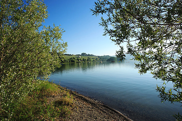 포토 JPG 해외이미지 나무 유럽 호수 여행 자연 하늘 풍경 사람없음 야외 초록색 물 파란색 반사 봄 스위스 해외202004 해외포토 자연요소 식물 계절 나라 컬러 생태계 파일형식 이미지허브