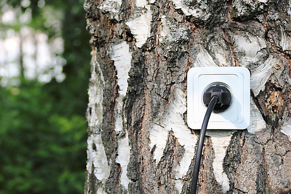 포토 JPG 해외이미지 나무 컨셉 자연 아이디어 사람없음 야외 초록색 환경 힘 재활용 장비 에너지 흰색 절약 구출 콘센트 플러그 보호 에코 생태계 나무껍질 스위치 자작나무 자원 내추럴 혁명 돌봄 바이오 생태학 효율 해외202004 해외포토 식물 교육 컬러 모션 껍질 도움 친환경 파일형식 이미지허브