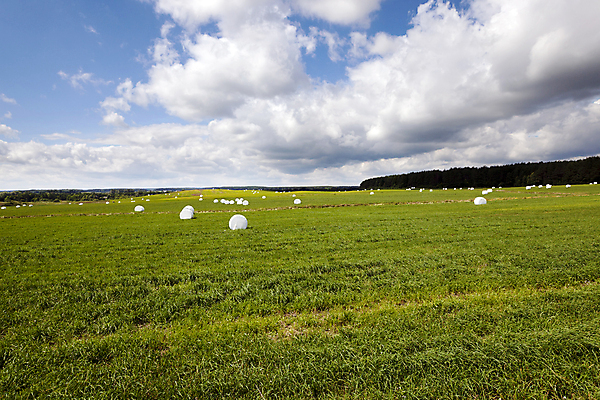 포토 JPG 해외이미지 식물 동물 계절 산업 종이 음식 밭 농업 포장 자연 하늘 건조 풍경 사람없음 야외 농작물 농장 쌓기 수확 가을 시골 그룹 볏짚 큼 플라스틱 땅 자르기 은박지 오브젝트 조경 객실 장면 패키지 수납 뭉치 흙더미 수유 포장소품 해외202004 해외포토 모션 재질 흙 짚 크기 생태계 포장재료 파일형식 더미 이미지허브