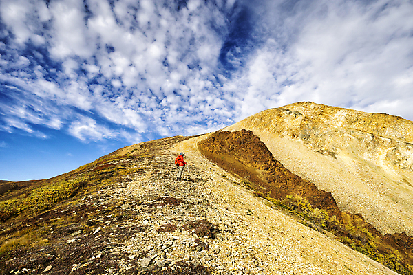 포토 JPG 해외이미지 공원 여행 자연 산 풍경 사람없음 야외 컬러풀 환경 미국 등산 하이킹 황무지 큼 북극 알래스카 산악지대 전국 절정 해외202004 해외포토 공공시설 컬러 북아메리카 레저 트래킹 크기 극지방 생태계 파일형식 이미지허브