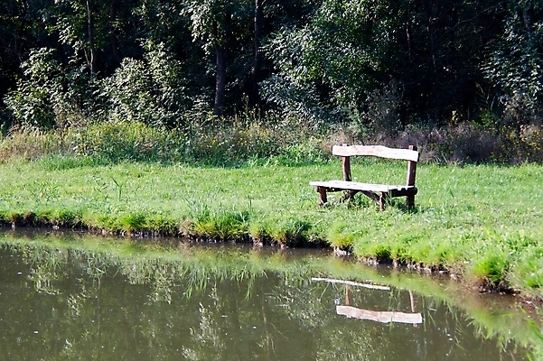 포토 JPG 해외이미지 나무 공원 호수 벤치 의자 자연 하늘 날씨 휴식 풍경 사람없음 야외 목재 초록색 물 햇빛 반사 환경 일몰 봄 신선 고독 싱글 장면 내추럴 옛날 해외202004 해외포토 자연요소 식물 계절 공공시설 감정 컬러 가구 컨셉 재료 태양 노을 생태계 파일형식 이미지허브