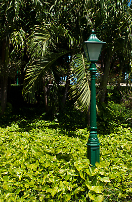 포토 JPG 해외이미지 나무 식물 외관 공원 가로등 전구 건축양식 자연 거리 손바닥 사람없음 야외 초록색 빛 금속 장비 에너지 골동품 등불 램프 도시 싱글 복고 구식 옛날 해외202004 해외포토 손 공공시설 건축 컬러 재질 조명 생태계 파일형식 이미지허브