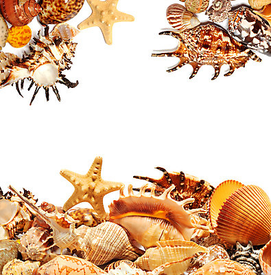 포토 JPG 해외이미지 디자인 별 모래 파도 바다 백그라운드 컨셉 곡선 자연 휴가 조개 사람없음 야외 컬러풀 환경 껍질 선택 수집 배열 묘사 질감 모음 내추럴 고립 생태학 이국적 파라다이스 많음 해외202004 해외포토 자연요소 교육 선 컬러 어패류 한글 생태계 파일형식 이미지허브