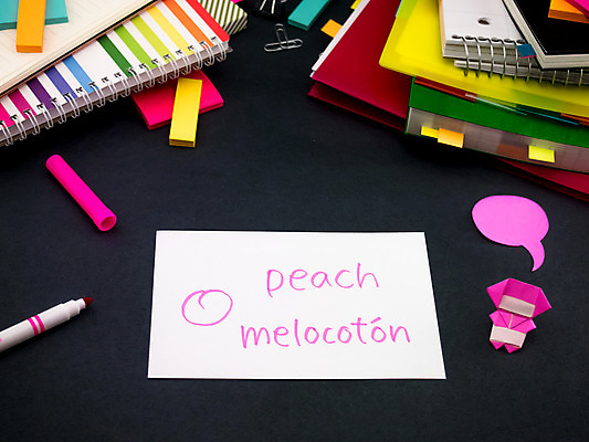 포토 JPG 해외이미지 학생 영어 교육 문화 텍스트 통신 교실 학교 수업 사람없음 책 단어 스터디 세계 글로벌 연필 펜 쪽지 공책 거품 시험 퀴즈 가르침 사과 강의 풍선 사전 닌자 소셜 스페인어 번역 해외202004 해외포토 문자 과일 문구용품 학용품 학습 필기구 파일형식 이미지허브