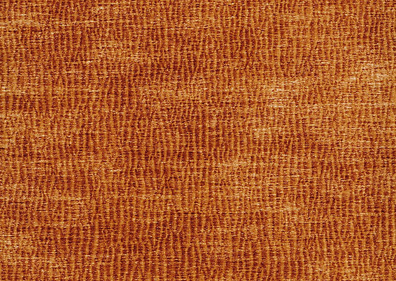 포토 JPG 해외이미지 디자인 종이 벽 백그라운드 추상 미술 사람없음 목재 그래픽 손상 수확 골동품 점 얼룩 역사 균열 떨어짐 낟알 부식 질감 복고 시들음 골절 구김 구식 그런지 썩음 양피지 옛날 해외202004 해외포토 나무 컨셉 무늬 농업 재료 의학 모션 문화예술 파일형식 이미지허브