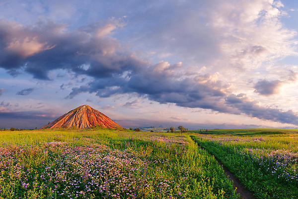 포토 JPG 해외이미지 식물 구름 계절 꽃 도로 길 잎 밭 농업 자연 하늘 산 풍경 사람없음 야외 초록색 여름 빛 농작물 컬러풀 햇빛 태양 농장 노란색 맑음 일몰 새벽 활발 성장 개화 황금 저녁 매움 마법 천국 빛망울 밭일 환상 해외202004 해외포토 자연요소 산업 컬러 컨셉 교통시설 날씨 노을 맛 야간 생태계 파일형식 이미지허브