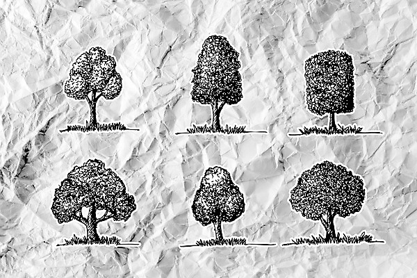 포토 JPG 해외이미지 클립아트 나무 식물 손 꽃 실루엣 종이 잎 자연 뿔 미술 잔디 사람없음 목재 초록색 나뭇가지 소나무 그리기 체리 자르기 그림 올리브 클립 매듭 윤곽 호두 전나무 자작나무 구김 대패 묘목 미루나무 수목 유칼립투스 가문비나무 해외202004 해외포토 열매 컬러 과일 재료 모션 문화예술 촬영기법 신체부위 견과류 생태계 파일형식 이미지허브