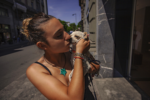 포토 JPG 해외이미지 동물 라이프스타일 공원 여자 어린이 장난 자연 놀이 하늘 함께함 미소 웃음 사람 소녀 사람없음 야외 초록색 여름 파란색 반려동물 우정 산책 흰색 개 강아지 치와와 송곳니 기르기 유래 충실 해외202004 해외포토 계절 공공시설 컬러 컨셉 포유류 휴식 표정 생활 친구 치아 생태계 돌봄 파일형식 이미지허브