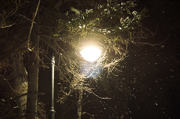포토 JPG 해외이미지 공원 길 백그라운드 크리스마스 겨울 건축양식 바람 날씨 거리 그림자 사람없음 야외 건물 목재 물 빛 노란색 어둠 새벽 추위 나뭇가지 손전등 도시 야간 저녁 장면 폭풍 스포트라이트 타운 빛망울 옛날 폭설 해외202004 해외포토 자연요소 나무 건축물 계절 공공시설 기념일 건축 컬러 재료 조명 눈_날씨 자연재해 파일형식 이미지허브
