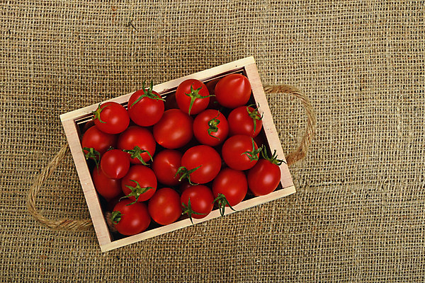 포토 JPG 해외이미지 계절 음식 백그라운드 농업 토마토 채소 자연 사람없음 목재 빨간색 초록색 여름 농작물 상자 우주 활발 수확 신선 체리 작음 나무상자 컨테이너 핸들 삼베 유기농 캔버스 노끈 강렬 숙성 해외202004 해외포토 나무 웰빙 산업 줄 컬러 컨셉 과일 재료 크기 생태계 파일형식 천_직물 이미지허브