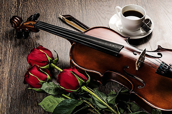 포토 JPG 해외이미지 커피 사람없음 장미 우아함 커피잔 바이올린 나무바닥 바이올린활 차받침대 해외202004 해외포토 꽃 음료 컨셉 현악기 잔 바닥 받침대 파일형식 이미지허브