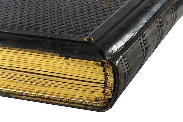 포토 JPG 해외이미지 사람없음 책 수확 흰색 황금 가죽 앨범 읽기 척추 문학 페이지 서점 고립 옛날 해외202004 해외포토 컬러 농업 모션 뼈 상점 파일형식 이미지허브