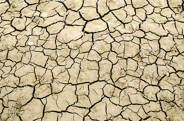 포토 JPG 해외이미지 지구 호수 백그라운드 컨셉 패턴 자연 표면 날씨 추상 건조 사람없음 야외 글로벌 갈색 환경 흙 손상 사막 껍질 뜨거움 거친 황무지 균열 묘사 부식 질감 먼지 점토 지역 진흙 가뭄 다리찢기 내추럴 깨짐 땅바닥 재앙 지질학 해외202004 해외포토 교육 컬러 무늬 모션 바닥 생태계 파일형식 이미지허브