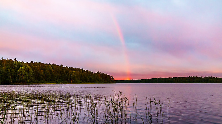 포토 JPG 해외이미지 나무 계절 공원 호수 여행 백그라운드 무지개 자연 하늘 날씨 풍경 사람없음 야외 초록색 물 여름 파란색 빛 강 태양 반사 평화 환경 침묵 일몰 자유 시골 연못 저녁 숲 장면 내추럴 생태학 웅장함 해외202004 해외포토 자연요소 식물 공공시설 교육 컬러 컨셉 노을 소리 야간 생태계 파일형식 이미지허브