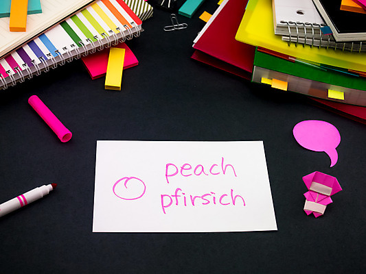 포토 JPG 해외이미지 학생 영어 교육 문화 텍스트 통신 교실 학교 수업 사람없음 책 단어 스터디 세계 글로벌 연필 펜 쪽지 공책 거품 시험 퀴즈 가르침 멜론 강의 풍선 사전 닌자 소셜 번역 해외202004 해외포토 문자 과일 문구용품 학용품 학습 필기구 파일형식 이미지허브