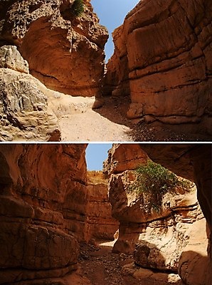 포토 JPG 해외이미지 벽 오렌지 중동 자연 날씨 건조 풍경 사람없음 야외 빨간색 컬러풀 골짜기 절벽 사막 바위 동굴 좁은 암초 사암 침식 웅장함 이스라엘 팔레스타인 해외202004 해외포토 나라 컬러 과일 돌_바위 생태계 서아시아 파일형식 이미지허브