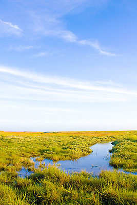 포토 JPG 해외이미지 구름 계절 호수 바다 백그라운드 밭 자연 하늘 파노라마 풍경 잔디 사람없음 야외 초록색 물 여름 파란색 빛 강 컬러풀 햇빛 농장 환경 정원 맑음 활발 시골 신선 개울 땅 밭일 변소 생태학 수평선 해외202004 해외포토 자연요소 식물 교육 컬러 컨셉 농업 날씨 촬영기법 태양 생태계 파일형식 이미지허브