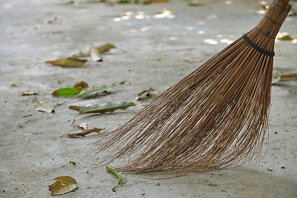 포토 JPG 해외이미지 계절 백그라운드 잎 가사 자연 사람없음 목재 노란색 가을 업무 빗자루 청소 원예 갈퀴 쓸기 옛날 정리함 팁 해외202004 해외포토 나무 식물 컬러 재료 취미 작업 청소도구 생태계 파일형식 이미지허브