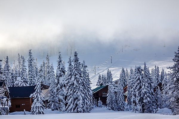 포토 JPG 해외이미지 나무 계절 여행 겨울 자연 스키 산 풍경 경사 사람없음 야외 미국 폭포 흰색 소나무 정상 숲 언덕 내추럴 워싱턴 절정 눈내림 해외202004 해외포토 식물 컬러 북아메리카 겨울스포츠 눈_날씨 생태계 파일형식 이미지허브