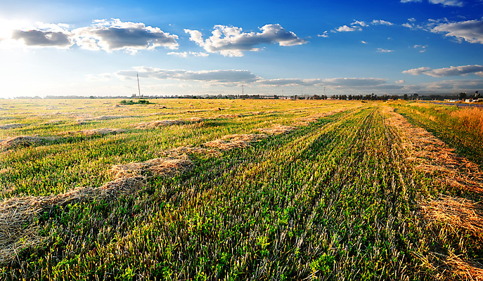 포토 JPG 해외이미지 주간 구름 자연 하늘 초원 사람없음 야외 가을풍경 맑음 가을 건초 해외202004 해외포토 자연요소 계절 날씨 풍경 생태계 파일형식 가을_계절 이미지허브