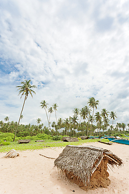 포토 JPG 해외이미지 구름 아시아 여유 야생동물 모래 여행 자연 하늘 낚시 휴가 주택 풍경 사람없음 여름 야자수 햇빛 평화 맑음 자유 만 그물 황무지 순수 즐거움 카누 천국 빛망울 감탄 스리랑카 해외202004 해외포토 자연요소 나무 동물 계절 감정 나라 컨셉 레저 날씨 건물 빛 태양 수상스포츠 생태계 파일형식 이미지허브