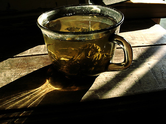 포토 JPG 해외이미지 자연 사람없음 숲 생태학 해외202004 해외포토 교육 생태계 파일형식 이미지허브