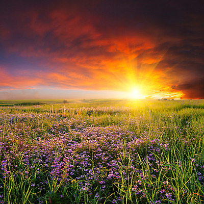포토 JPG 해외이미지 식물 구름 계절 꽃 길 잎 밭 자연 하늘 풍경 사람없음 야외 빨간색 초록색 여름 빛 농작물 컬러풀 햇빛 태양 농장 노란색 맑음 일몰 새벽 활발 성장 개화 황금 저녁 매움 마법 천국 빛망울 밭일 웅장함 환상 해외202004 해외포토 자연요소 컬러 컨셉 농업 날씨 노을 맛 야간 생태계 파일형식 이미지허브