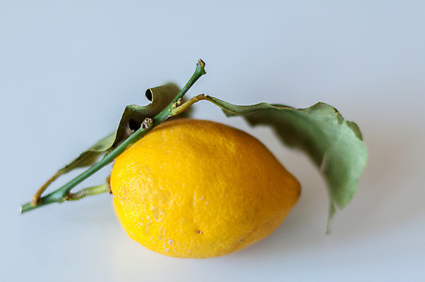 포토 JPG 해외이미지 나무 식물 음료 음식 백그라운드 잎 과일 재료 부분 자연 귤 건강 사람없음 초록색 컬러풀 노란색 주스 성장 껍질 흰색 나뭇가지 신선 맛 자르기 먹기 레몬 레모네이드 싱글 유기농 질감 날것 내추럴 고립 숙성 신맛 해외202004 해외포토 웰빙 컬러 컨셉 모션 생태계 에이드 파일형식 이미지허브