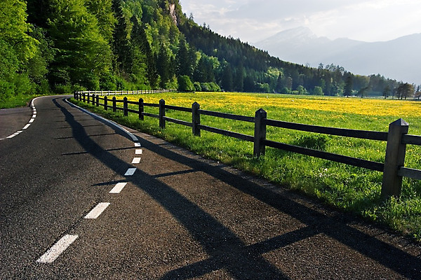 포토 JPG 해외이미지 나무 도로 길 밭 곡선 자연 산 그림자 풍경 사람없음 야외 초록색 울타리 컬러풀 태양 노란색 어둠 페인트 봄 운전 흰색 시골 고속도로 숲 아스팔트 골 루트 방법 해외202004 해외포토 자연요소 식물 계절 선 컬러 농업 교통시설 모션 담장 생태계 파일형식 이미지허브